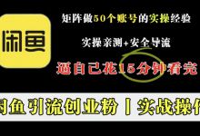 闲鱼矩阵引流创业粉玩法，日引流500精准流量