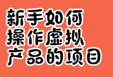 新手做虚拟资料项目，这8个赛道值得认真看一眼