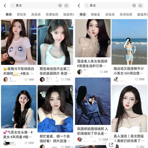 小红书气质美女套图，可矩阵长期操作-偏门行业网