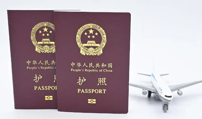 帮人办签证信息差项目，一个月赚几十万-偏门行业网